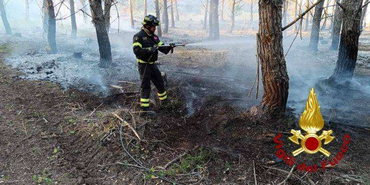 Fiamme nel sassarese, vasto incendio all’interno dell’azienda San Martino