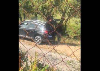 Abbandono di rifiuti a Olbia, lo sdegno del sindaco Nizzi