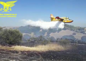 Fiamme a Elmas, il Corpo forestale identifica i responsabili: sono tre minorenni