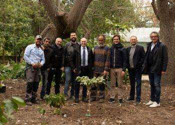 Coltivare il caffè, sfida al via all’Orto botanico di Palermo