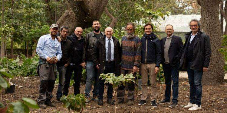 Coltivare il caffè, sfida al via all’Orto botanico di Palermo