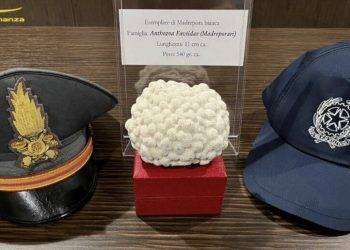 Corallo bianco in valigia, fermato all’aeroporto di Cagliari