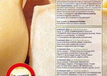 A Villanova Monteleone formaggi del territorio protagonisti attraverso un corso teorico-pratico di caseificazione