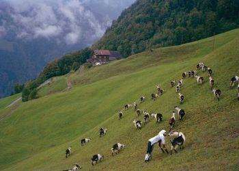 Il Man di Nuoro diventa spazio dinamico con la mostra Diorama