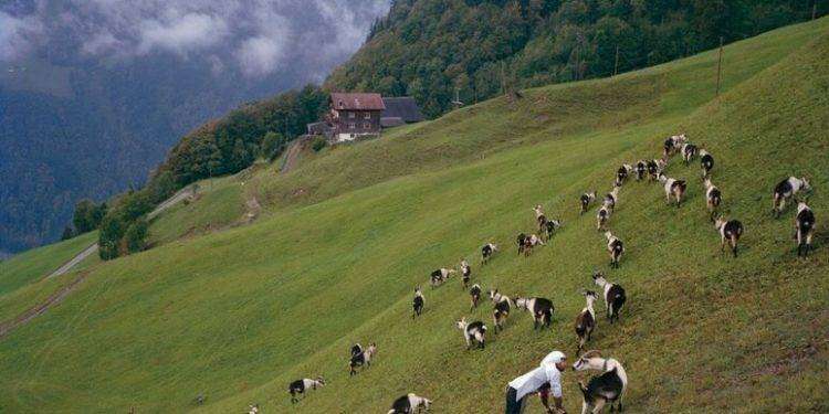 Il Man di Nuoro diventa spazio dinamico con la mostra Diorama