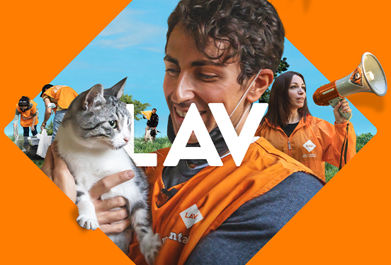 Picco di violenza sugli animali in Sardegna. LAV: “pene più severe e politiche a tutela degli animali”