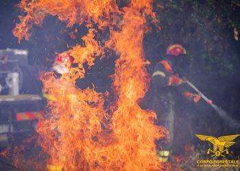 In Sardegna 5 incendi nelle ultime 24 ore: in azione l’elicottero del Corpo Forestale