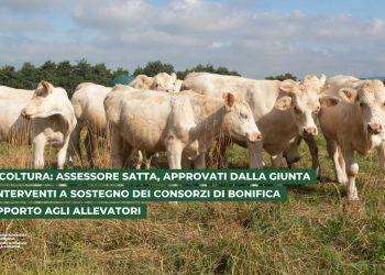Agricoltura: assessore Satta, approvati dalla Giunta gli interventi a sostegno dei Consorzi di bonifica e degli allevatori