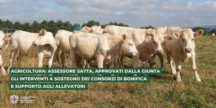 Agricoltura: assessore Satta, approvati dalla Giunta gli interventi a sostegno dei Consorzi di bonifica e degli allevatori