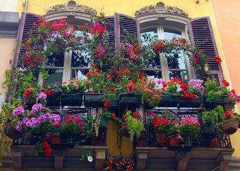 Cagliari, “Balconi fioriti a Villanova”: domenica 19 maggio 2024 la premiazione del vincitore