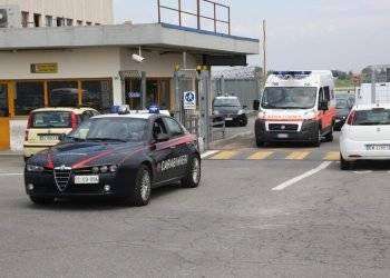 Colpisce moglie con martello e le stacca orecchio a morsi