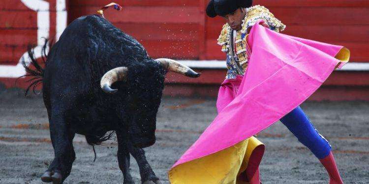 Il Parlamento della Colombia vieta le corride dal 2027