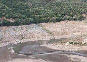 L’emergenza siccità arriva in Gallura, agricoltori in ginocchio