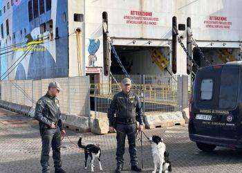 Corriere della droga arrestata con 800 pasticche