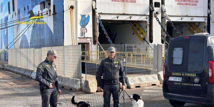 Corriere della droga arrestata con 800 pasticche