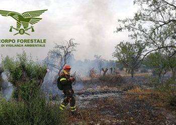 Agente forestale muore dopo malore durante bonifica di un rogo: aveva 28 anni