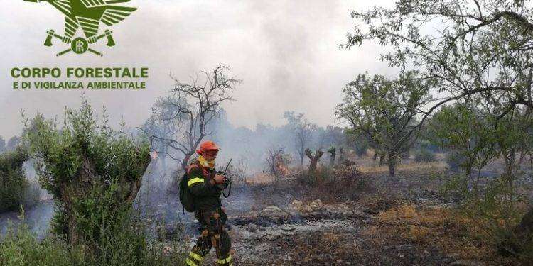 Agente forestale muore dopo malore durante bonifica di un rogo: aveva 28 anni