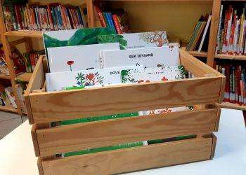 Cagliari, il quartiere Marina promuove la lettura: al via il bookcrossing tra le vie del centro