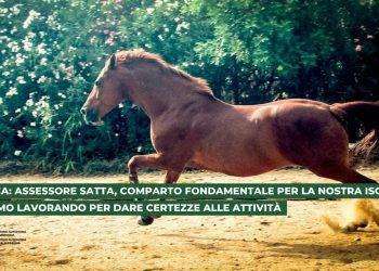 Ippica: assessore Satta, comparto fondamentale per la nostra isola