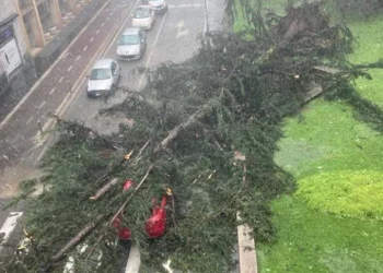 Borgo Mantovano, tromba d’aria rovescia carri ferroviari
