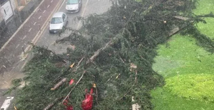 Borgo Mantovano, tromba d’aria rovescia carri ferroviari