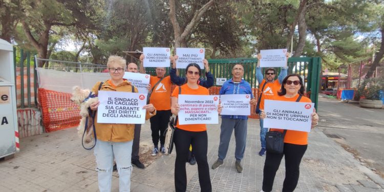 Comunali Cagliari, Corda a Monte Urpinu: “Non si parla di diritti degli animali”
