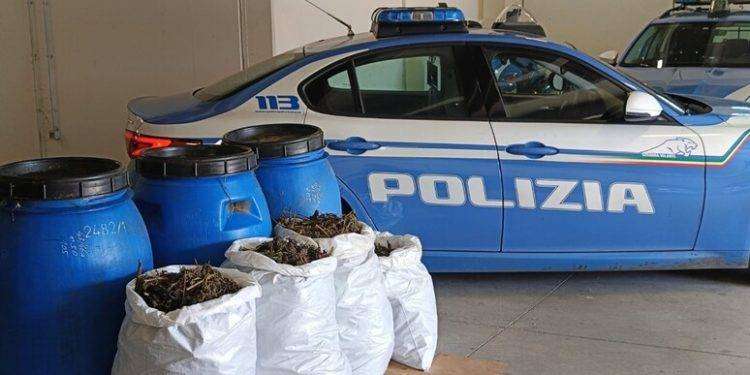 Venti chili di marijuana sequestrati a Orosei