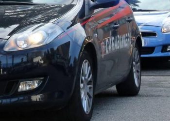 Neonato trovato morto sugli scogli, fermata la nonna