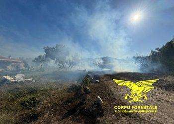 Sono 5 gli incendi in tutta l’isola: a San Priamo in azione l’elicottero del Corpo Forestale