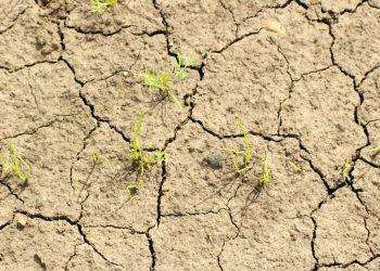 Sardegna, calamità naturali bando 2023: approvata graduatoria definitiva