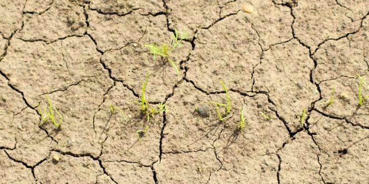 Sardegna, calamità naturali bando 2023: approvata graduatoria definitiva