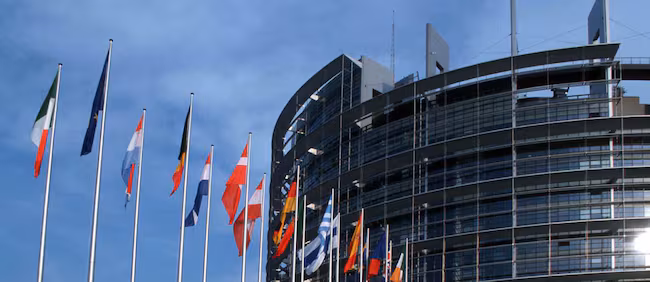 Alle europee 7 candidati in violazione delle regole: 3 di Forza Italia, 2 di Fratelli d’Italia, 1 Pd e uno Stati Uniti d’Europa