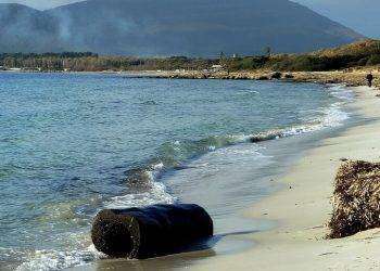 Ad Alghero i tronchi d’albero spiaggiati rivivono con un dono