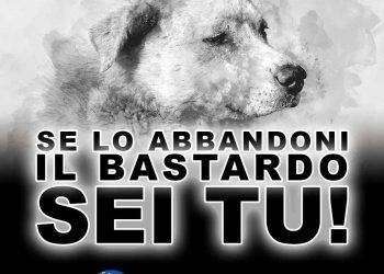 Enac e ReportSardegna24 lanciano la campagna: “Se lo abbandoni il bastardo sei tu!”