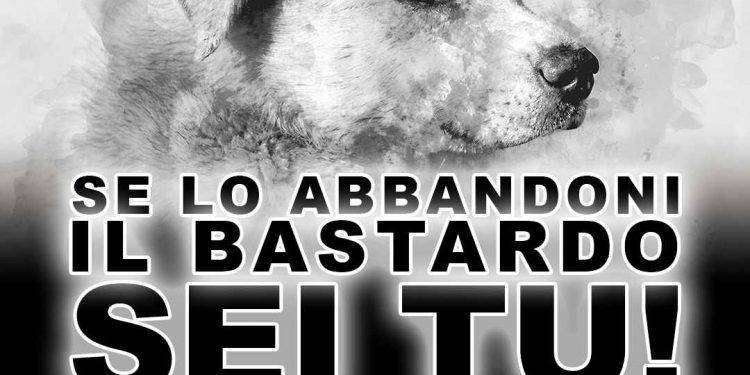 Enac e ReportSardegna24 lanciano la campagna: “Se lo abbandoni il bastardo sei tu!”