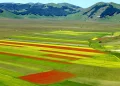 A Castelluccio di Norcia una delle più belle fioriture
