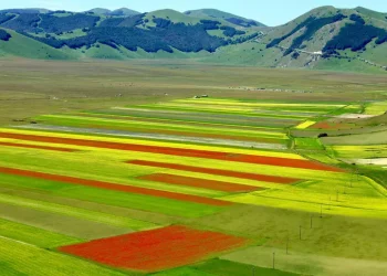 A Castelluccio di Norcia una delle più belle fioriture