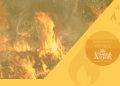 Pericolo incendio: codice giallo anche a Cagliari venerdì 28 giugno