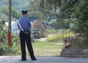 Lavoratore perde un braccio e viene abbandonato in strada