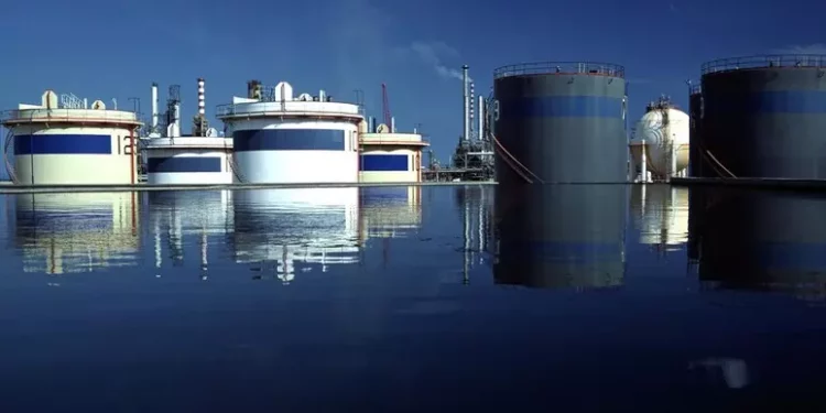 Export sardo in aumento, crescita dell’8,9% da inizio anno