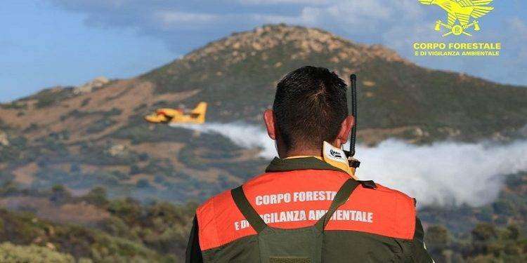 Vasto incendio a Villanova Monteleone: in azione un elicottero e un canadair