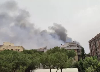 Incendio di sterpaglie a Roma, evacuata facoltà a Tor Vergata