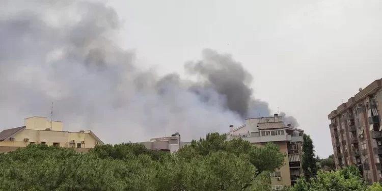 Incendio di sterpaglie a Roma, evacuata facoltà a Tor Vergata