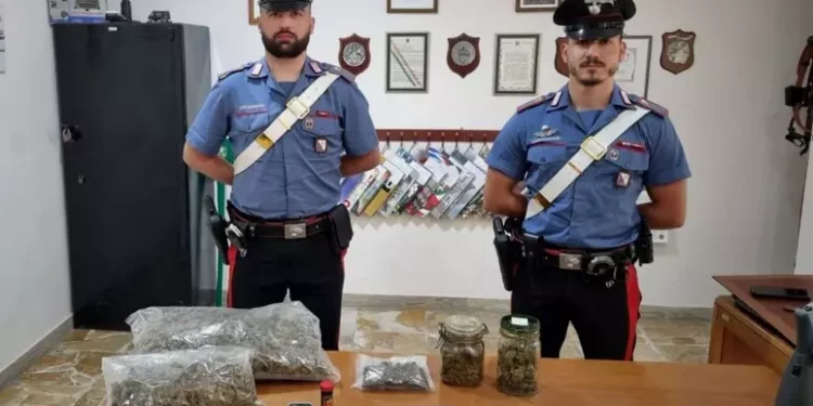 Nasconde 1,5 kg di marijuana in un rudere, arrestato 58enne