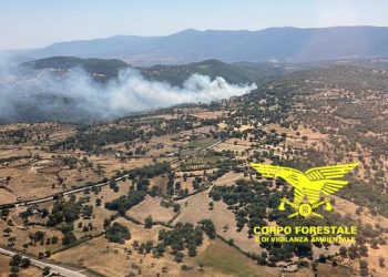Allerta incendio codice giallo a Cagliari l’1 luglio