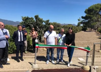 Pannelli multilinguaggio per visitare sito, Nora fa da apripista