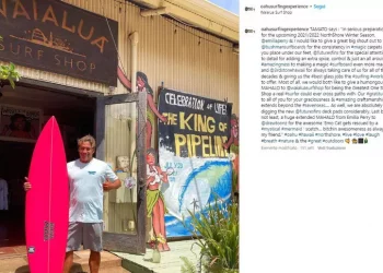 Uno squalo uccide Tamayo Perry, attore dei Pirati dei Caraibi