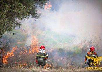 Fiamme in Sardegna, 14 incendi nelle ultime ore