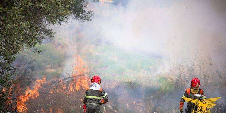 Fiamme in Sardegna, 14 incendi nelle ultime ore