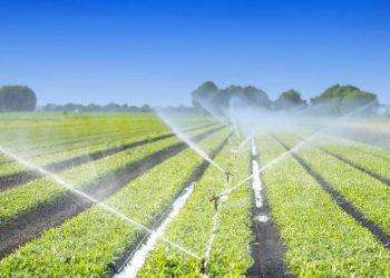 Aumentano le superfici irrigue nella piana di Chilivani